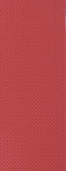 Slava Zaitsev Arcobaleno настенная плитка Acrobaleno Shine Red 20*50