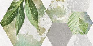 Laparet Focus настенная плитка Плитка настенная зелёный ботаника 34090 25*50