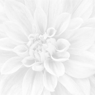 Laparet Crisantemo Панно из 3-х шт 36-05-00-463-0