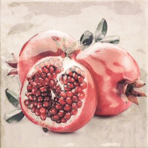 Mainzu Milano декор Décor Campestre-1 (Гранат) 20*20