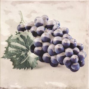 Mainzu Milano декор Décor Campestre-3 (Виноград) 20*20