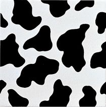 Steuler Moooh настенная плитка 44508 25*25