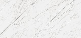 Museum Carrara 4d Elevate Venatino White/150X320/P