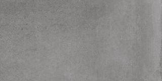 Cerdomus	Legarage керамогранит Silver Rettificato sp.8,5 mm 50*100*8.5