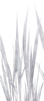 Cerdomus Omnia декор Decoro Incanto Levigato 60*120