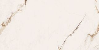 Cerdomus Omnia керамогранит Macchia Vecchia Levigato 30*60*9.5