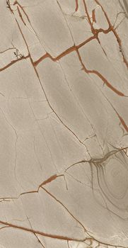 Casa Dolce Casa Nature Mood керамогранит Rainforest Glossy 120*280*6