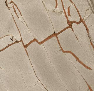 Casa Dolce Casa Nature Mood керамогранит Rainforest Glossy 120*120*6