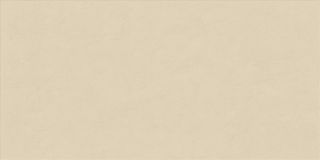 Ariana Floralia настенная плитка Beige 60*120*7