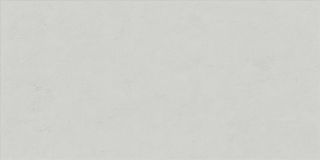 Ariana Floralia настенная плитка Neige 60*120*7