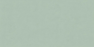 Ariana Floralia настенная плитка Sauge 60*120*7