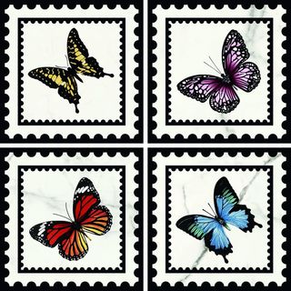 Villeroy & Boch Victorian by Mary Katrantzou декор White Butterfly 45 Sqr Gls 7R 20*20*10