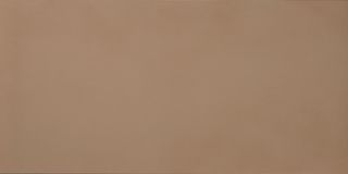 Casalgrande Padana R-Evolution керамогранит Terra R10 10 mm 30*60*10