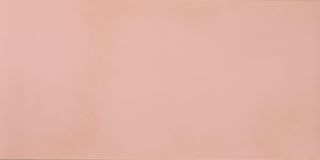 Casalgrande Padana R-Evolution керамогранит Light Pink 10 mm 30*60*10