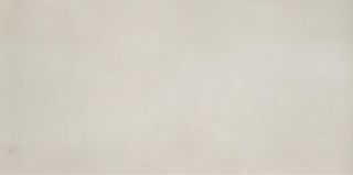 Casalgrande Padana R-Evolution керамогранит Total White 10 mm 30*60*10