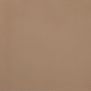 Casalgrande Padana R-Evolution керамогранит Terra R10 60*60*10