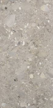 Cercom Ceppo Di Grès керамогранит Grigio Rett 60*120*9.5