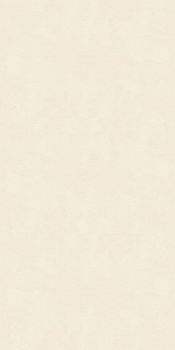 Sant Agostino Insideart Color керамогранит Light Nat 60*120*9