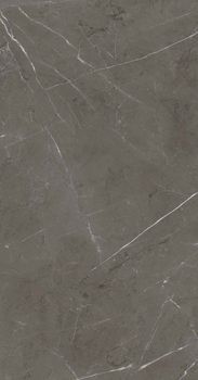 ABK Sensi 900 керамогранит Stone Grey Nat Rett 60*120