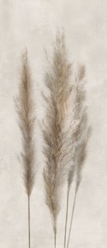 Caesar Deco Solutions керамогранит Pampa 120*278*6