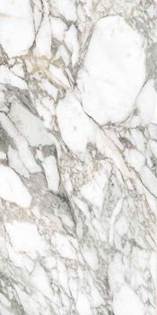 Flaviker Supreme Memories керамогранит Bianco Vagli Nat Rett. P. Tech R 10 C 60*120*8.5