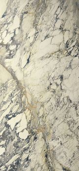 Delconca Marble Edition керамогранит Breccia Capraia 120*260*8.5
