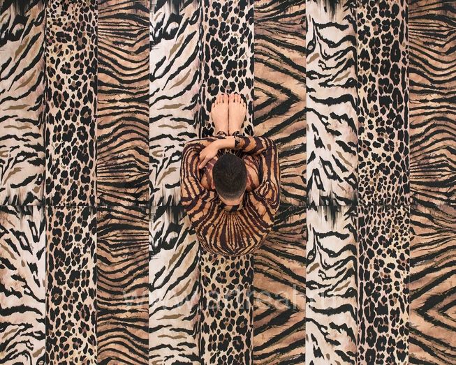 Roberto Cavalli The Wild Spirit Керамогранит Roberto Cavalli The Wild Spirit в интерьере