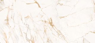 Roberto Cavalli The Wild Spirit керамогранит TWS Calacatta Oro LX RT 59.6*119.2*9