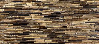 Roberto Cavalli The Wild Spirit керамогранит TWS Tiger Gold LX 59.6*119.2*9