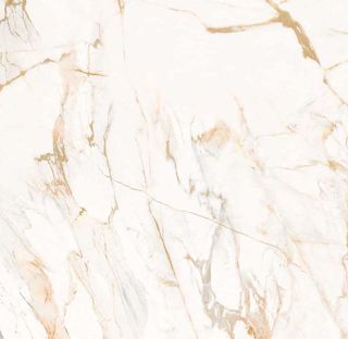 Roberto Cavalli The Wild Spirit керамогранит Calacatta Oro Polished 119.2*119.2*9