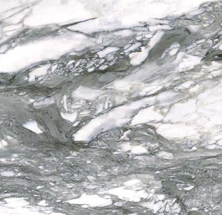 Roberto Cavalli The Wild Spirit керамогранит Calacatta Renoir Polished 119.2*119.2*9