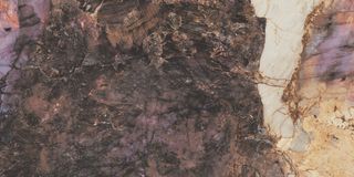 Ape Ceramica Magallanes керамогранит Pink Pol 60*120*9