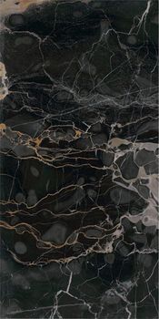 Graniti Fiandre Precious Stones керамогранит nero portoro a 150*300