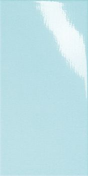 Dado Alterego настенная плитка Celeste 20*40