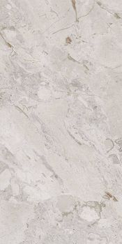 Cerdomus Karnis керамогранит Silver Safe Rettificato 60*120*6