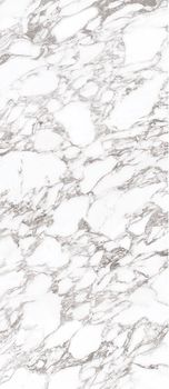 StaroSlabs Polished керамогранит Arabescato Oscuro Elegance 120*280*6