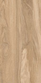 Gresant Taiga керамогранит Taiga Dark Matt+Carving 60*120