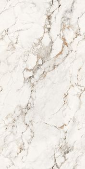 Gresant Faux Grey керамогранит Faux Grey Glossy Endless 60*120