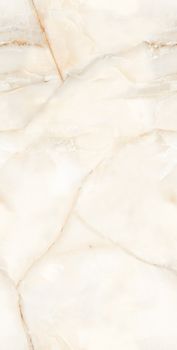 Gresant Earth Onyx керамогранит Beige Glossy Endless 60*120
