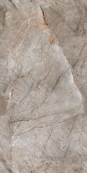 Gresant Canelo Brown керамогранит Canelo Brown Infinia Polished 60*120