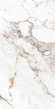 Gresant Calacatta Brisco керамогранит Calacatta Brisco Carving 60*120