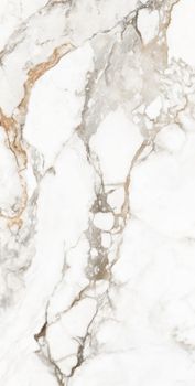 Gresant Calacatta Brisco керамогранит Calacatta Brisco Glossy 60*120