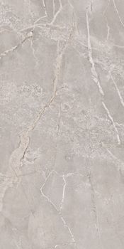Gresant Ariana керамогранит Bone Sugar Carving 60*120