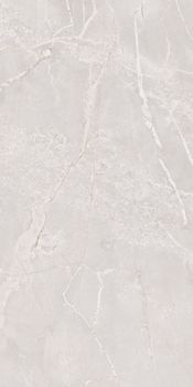 Gresant Ariana керамогранит Coral Carving 60*120