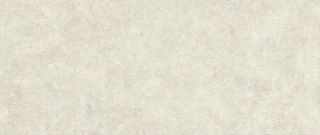 Настенная плитка Bone Field 50*120*8.5