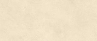 Настенная плитка Shell 50*120*8.5