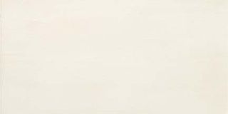 Керамогранит Ivory 4080 80*40