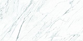 Roca Statuario керамогранит LM Statuario ST 100*200*7