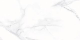 Kerlife Russia Calacatta Silver настенная плитка Calacatta Silver 49 31.5*63*8.5