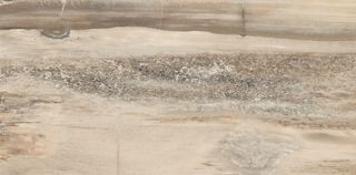 Emil Ceramica Petrified Tree керамогранит Beige Tiger Core 90*45